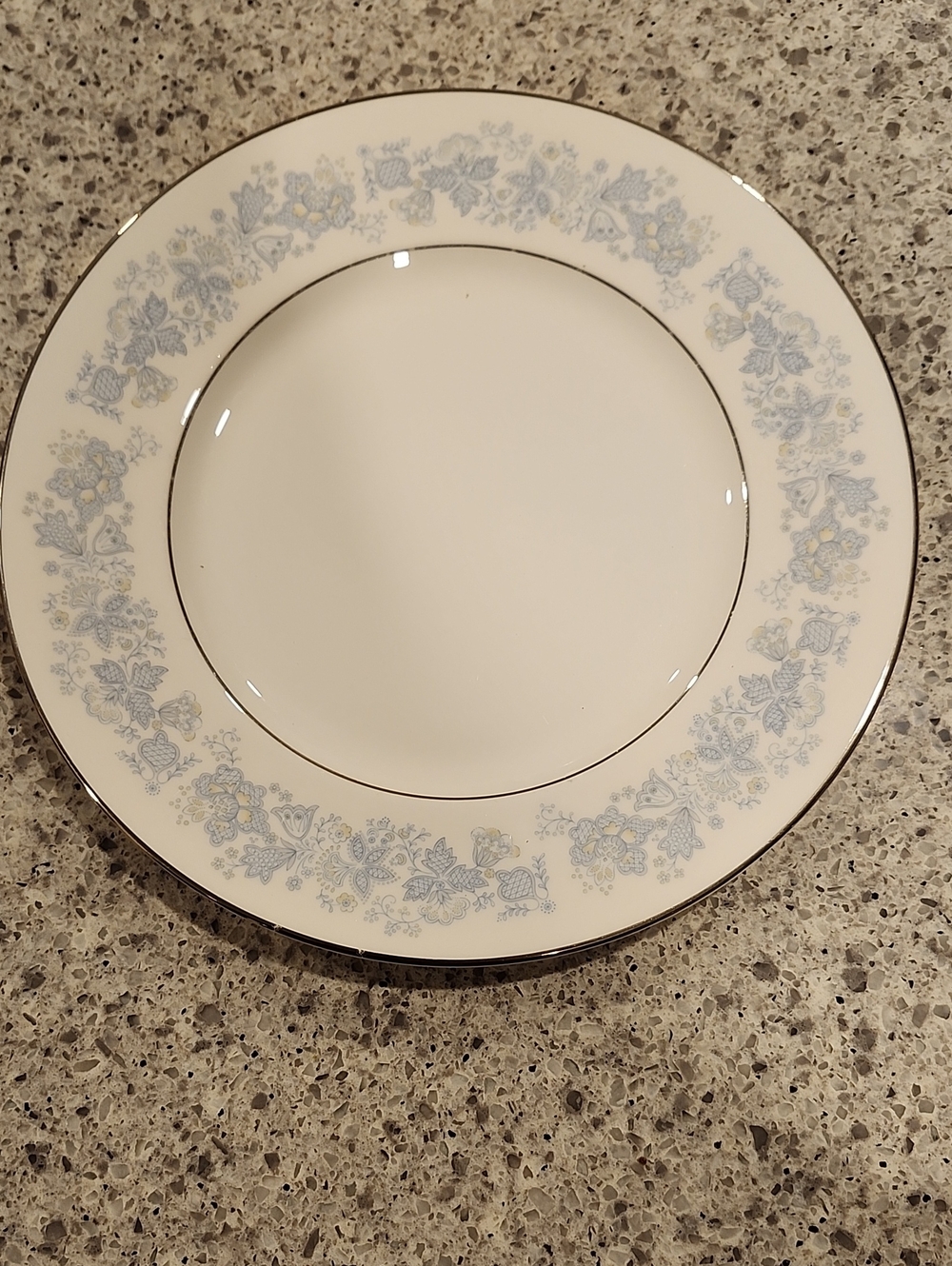Roysl Douton Classic Floral Rim Porcelain Dinner Plate in Light Blue and Silver